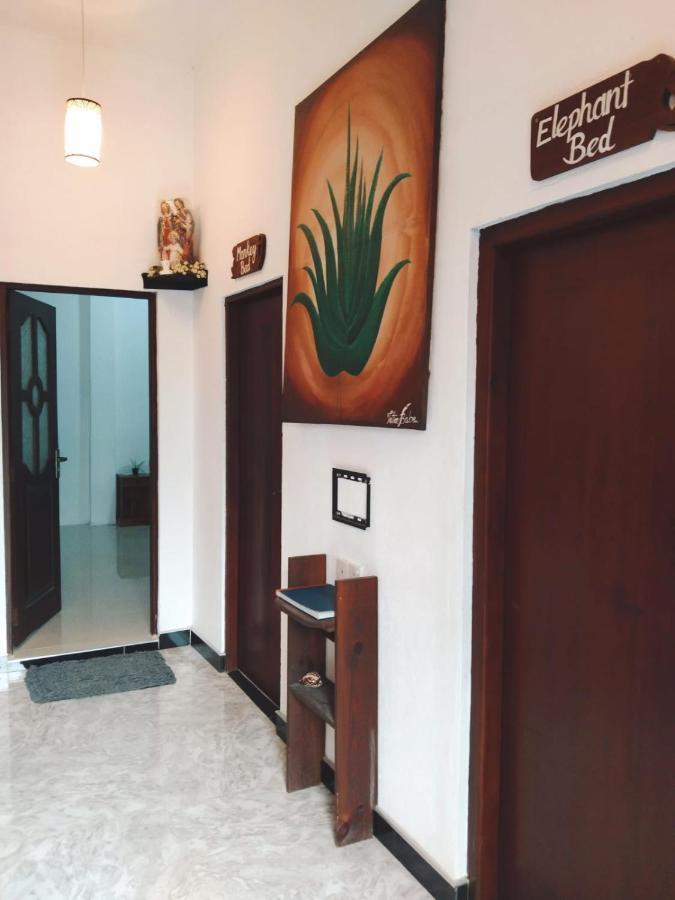 Aloevera Villa Νεγκόμπο Εξωτερικό φωτογραφία